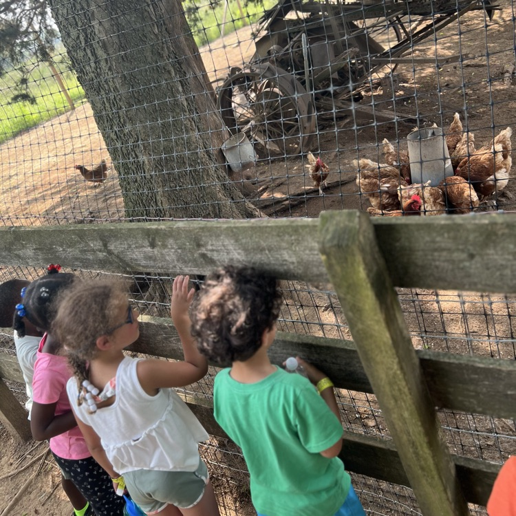 Preschool Program summer school students had fun at Braehead Farm learning how to farm! 🌱 🧑‍🌾👩‍🌾🌾🫛They even got to wake up the chickens!🐓
