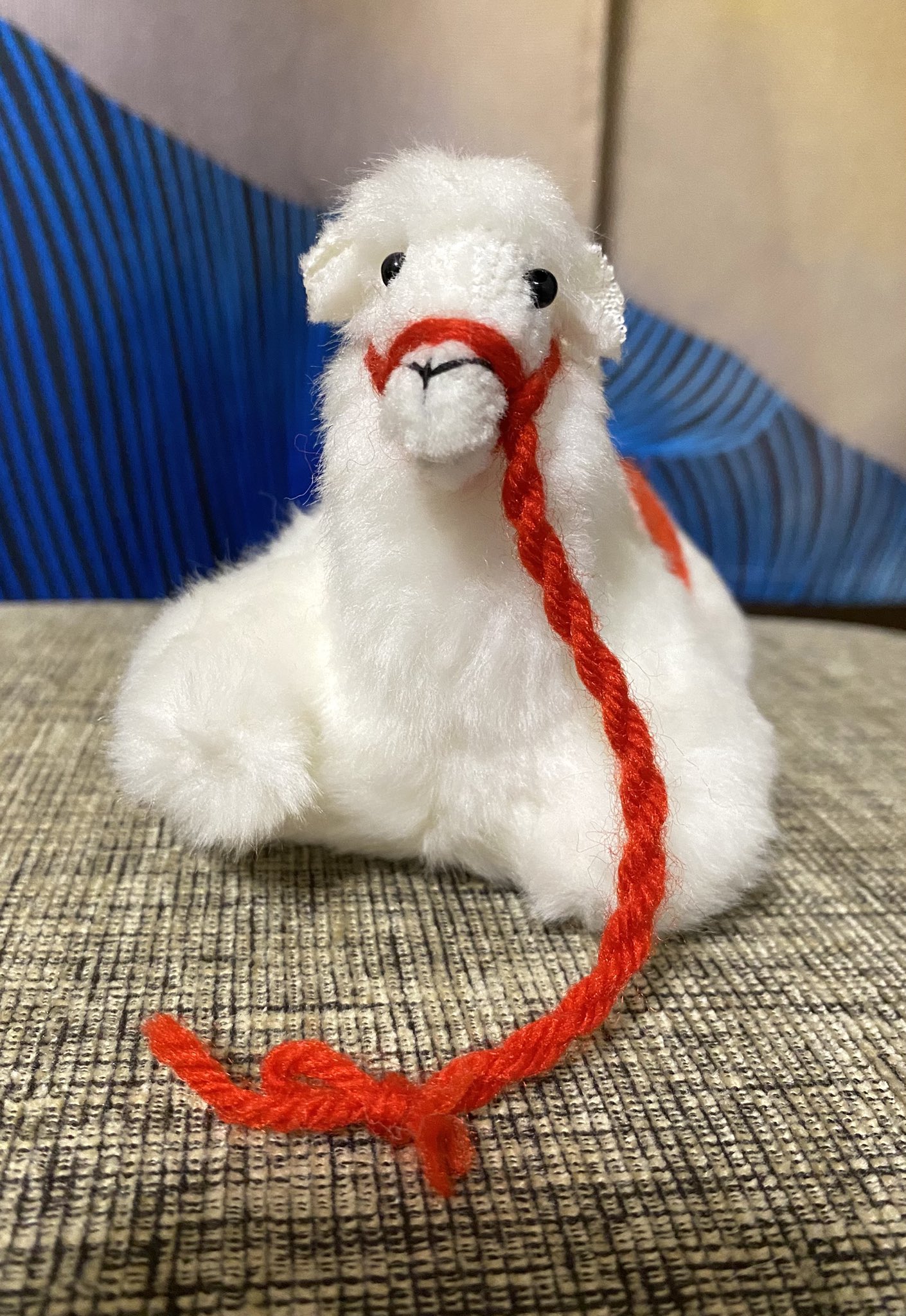 【新品】万博　ヨルダン　らくだ　ラクダ　ぬいぐるみ 新品】万博 ヨルダン らくだ ラクダ ぬいぐるみ - メルカリ