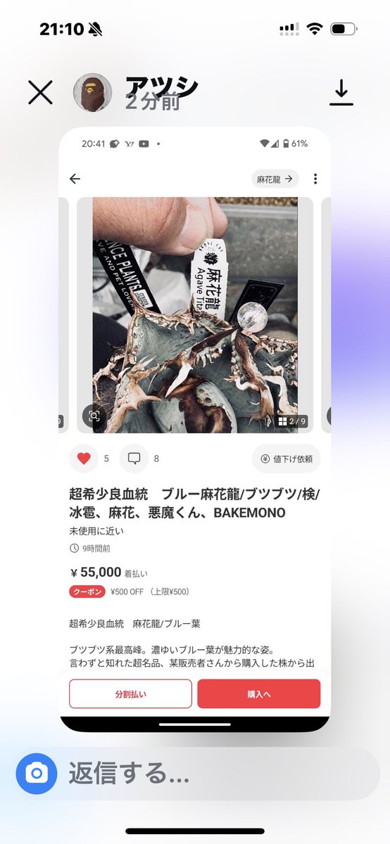 私の親株の画像を使って出品されてる方がいます😤偽物ですのでご注意下さい🙇🏻