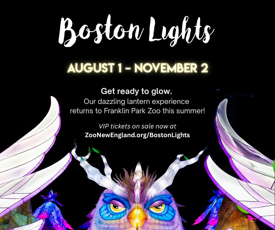 Something big is happening at #FranklinParkZoo this summer...✨ 

#BostonLights returns August 1 – November 2! Now's the time to grab limited VIP tickets that you can use any night, any time ➤ zoonewengland.org/bostonlights
