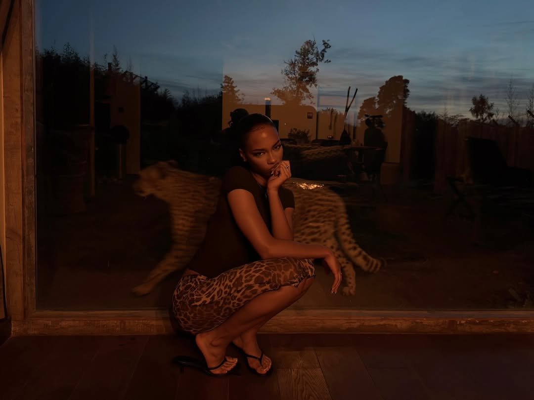 𝑀 (@menixrex) on Twitter photo 