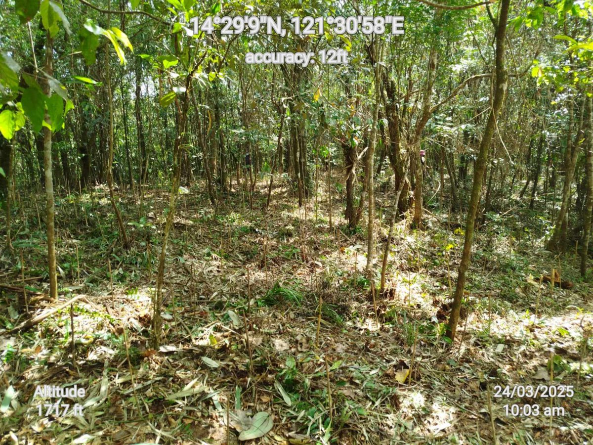 FEEDInc's tweet photo. A heartfelt thank you to Nat Re, our longtime partner, and the tireless UPLB Laguna-Quezon Land Grant forest guards for making this possible! 🌍💚 🌳Immerse yourself in nature and explore our Tree-Nurturing Program DM us at info@feed.org.ph https://t.co/gI1Issl5Nf