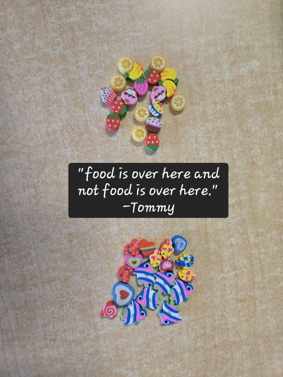 Holley DOrazio tweet media