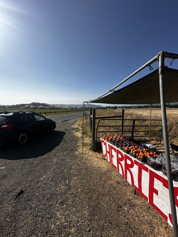 Enjoying my mini vacay back in Cali☀️