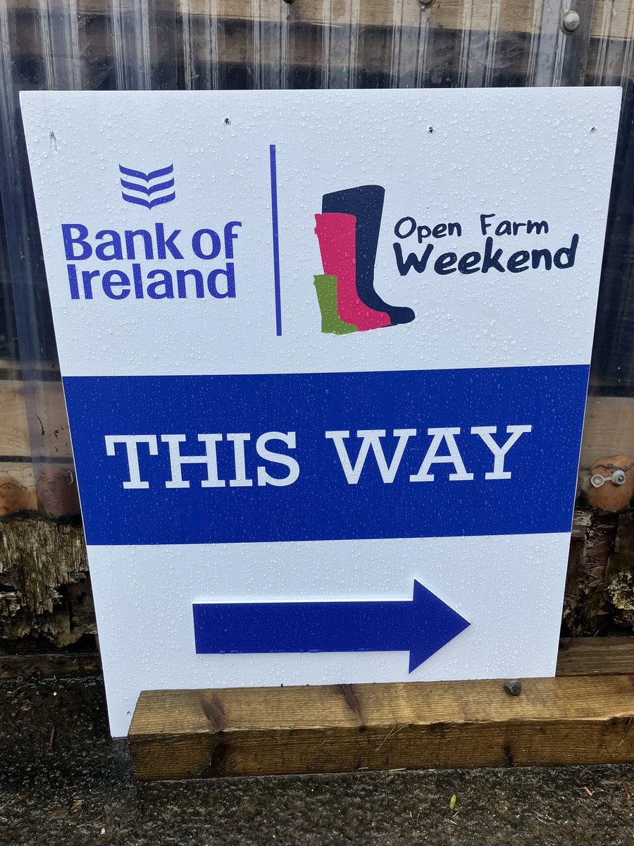 Will_Thompson7's tweet photo. Good to catch up with the team @jubilee_coop outside Larne, NI’s first community run farm!! 
Despite the rain it was great to see a steady flow of visitors as part of @BOIopenfarm 
Massive thanks to all involved for their support and effort 👏👏 https://t.co/6dbpDgnswg