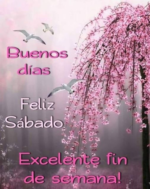 ComprenderQuilm's tweet image. 