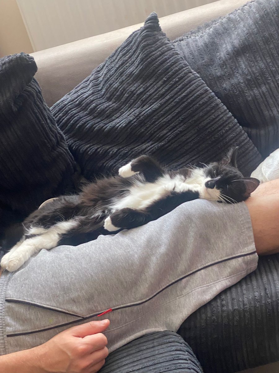 Hard life ay it 🤣