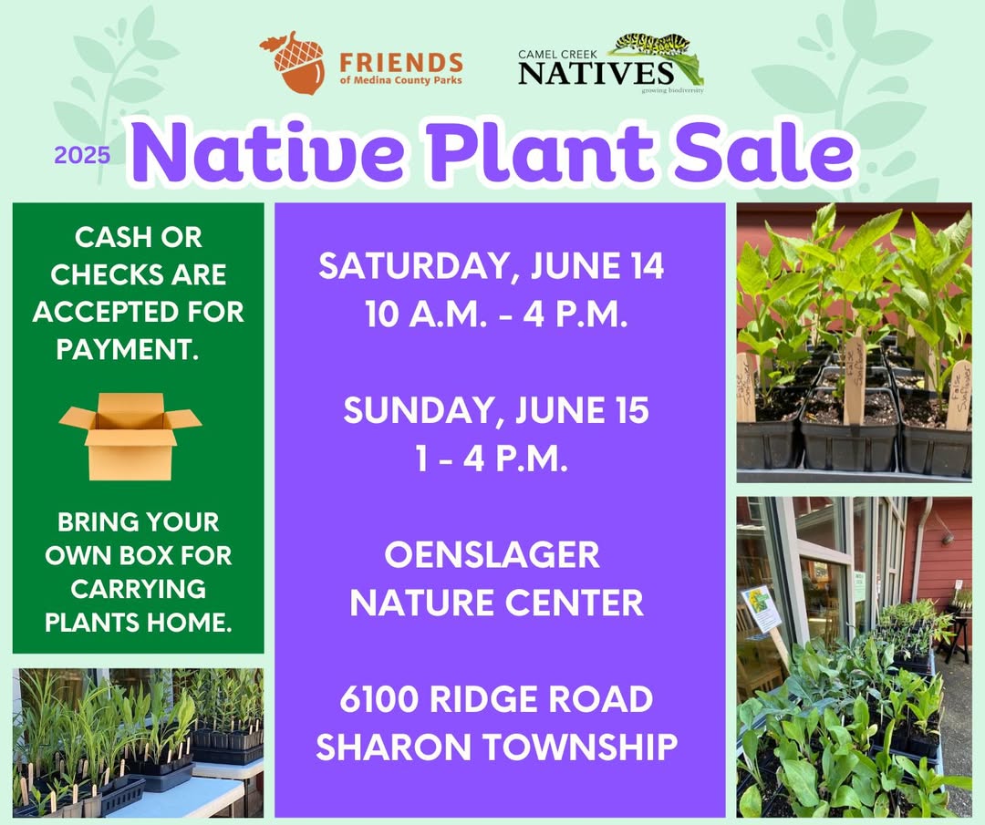 Are you looking to add some diversity to your landscape to increase habitat and biodiversity? Look no further than the annual native plant sale at Oenslager Nature Center to pick from a nice selection of reasonably‑priced, ecologically important native plants. #medinacountyparks