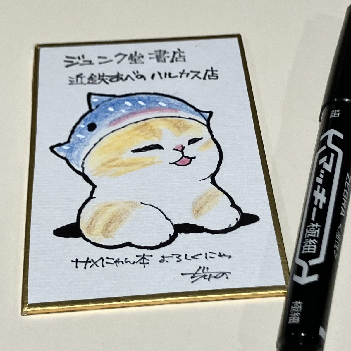 サイン、色紙を書きにお邪魔しました😽 (全身で喜びを表現するサメにゃん)