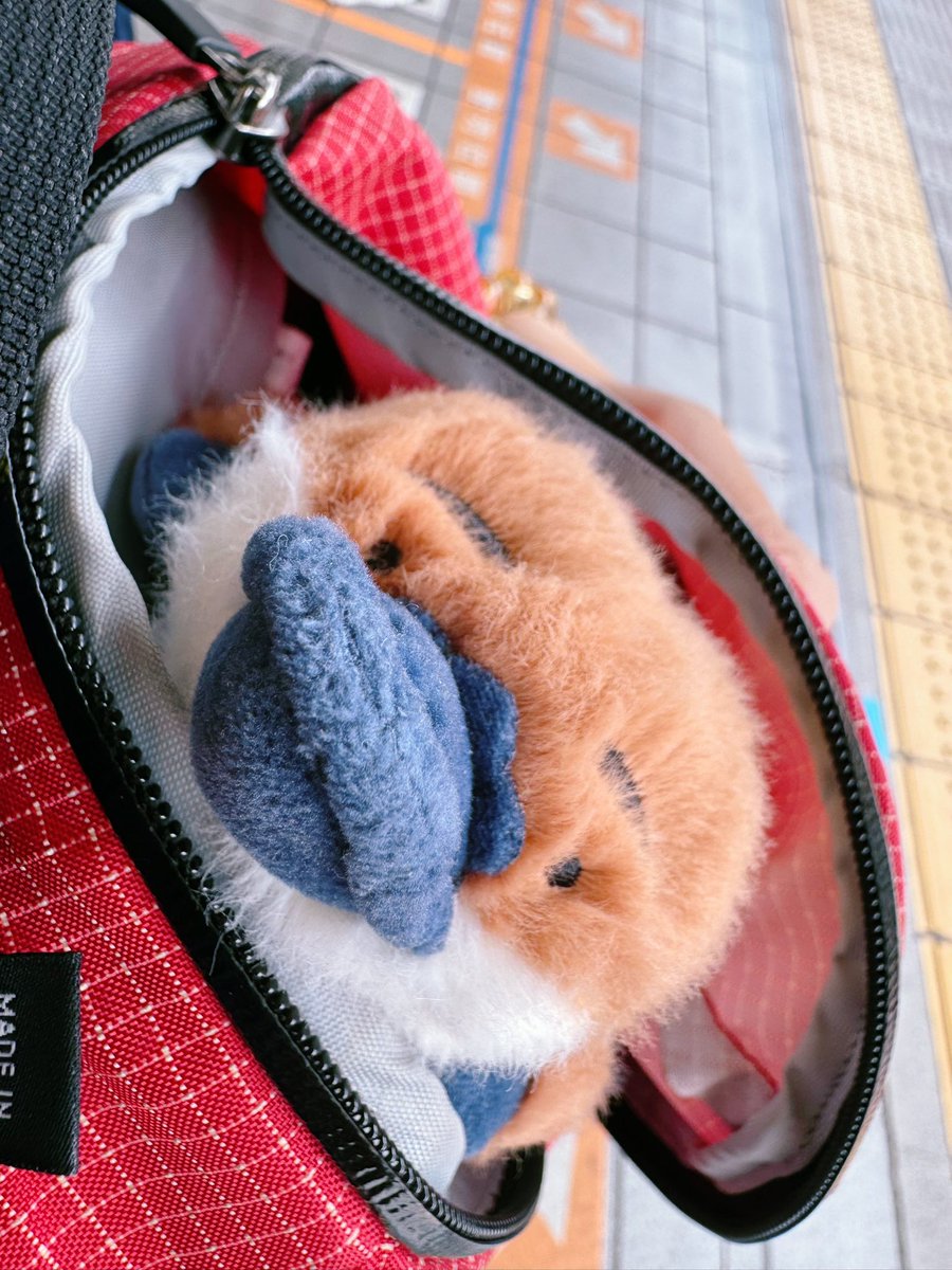 Shang0404's tweet image. 这就是宝宝啊！！！🥹✨💕#뿅구리 #우명