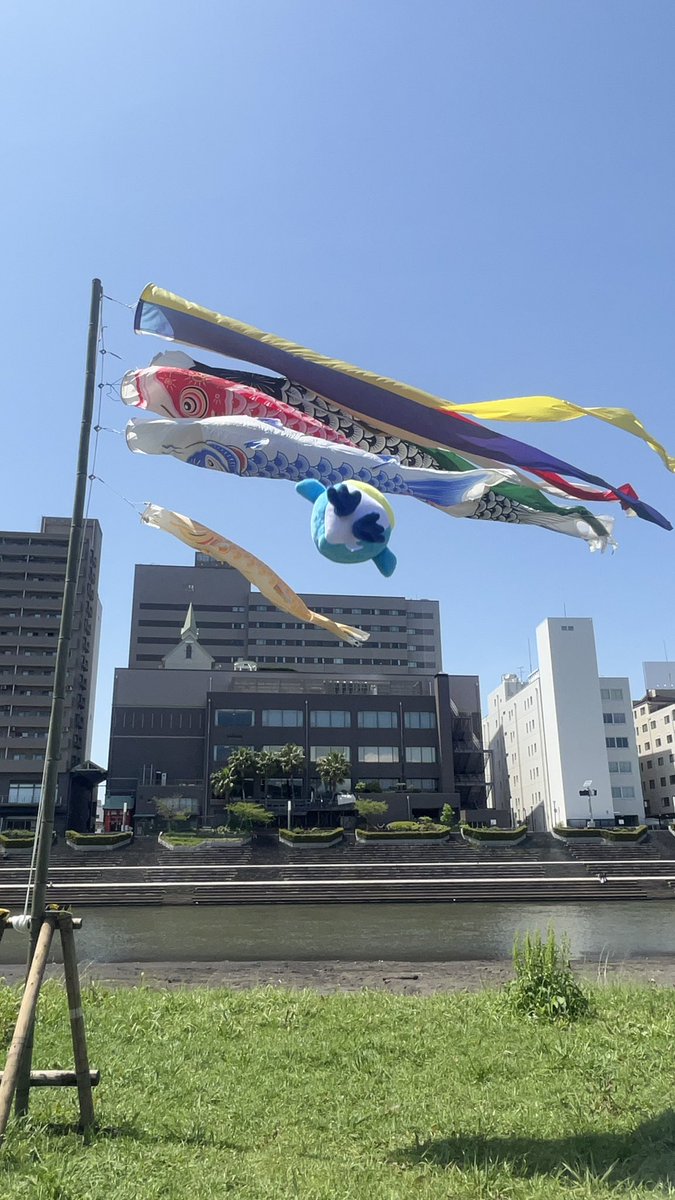 asahi105555's tweet photo. オフショ
#PPPC #PPPC1 https://t.co/g9JCqOKJxS