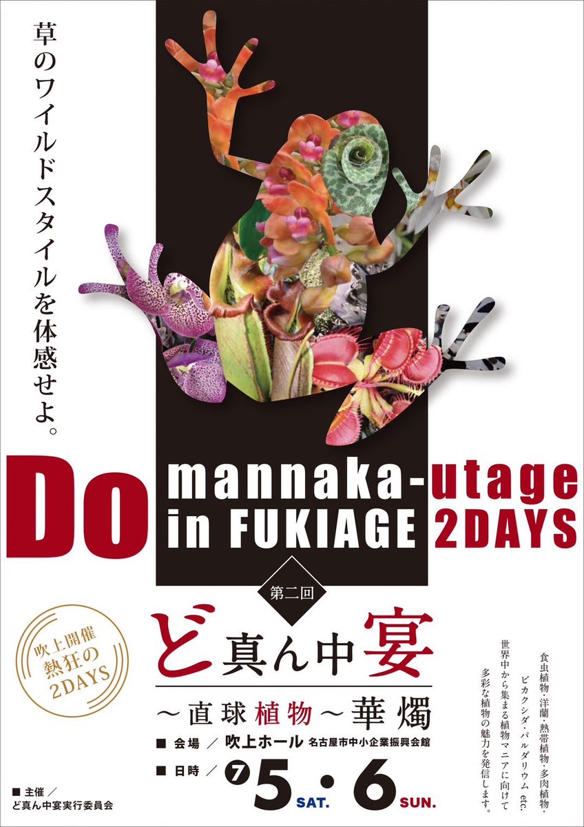 taiyoengei's tweet photo. Plants JAM 樹祭
6月22日 日曜日
名古屋のど真ん中の
ナディアパーク アトリウム2Fで
1日のみの開催!
太陽園芸・ヒーローズピッチャープランツ初出店ですが楽しんでいきます!!
#樹祭
#坪井健樹園
#太陽園芸
#ヒーローズピッチャープランツ
#blueearth
#クロスワークス
#panus
#法花園
#blueocean
#mizuba
#gotosaboten
#moment
#verdantcity
#yoctplants
#thornsandleaves