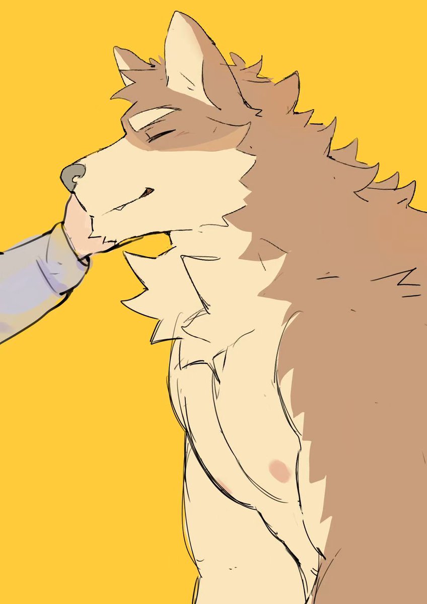 鱼羽白 (@christoryyyb) on Twitter photo 