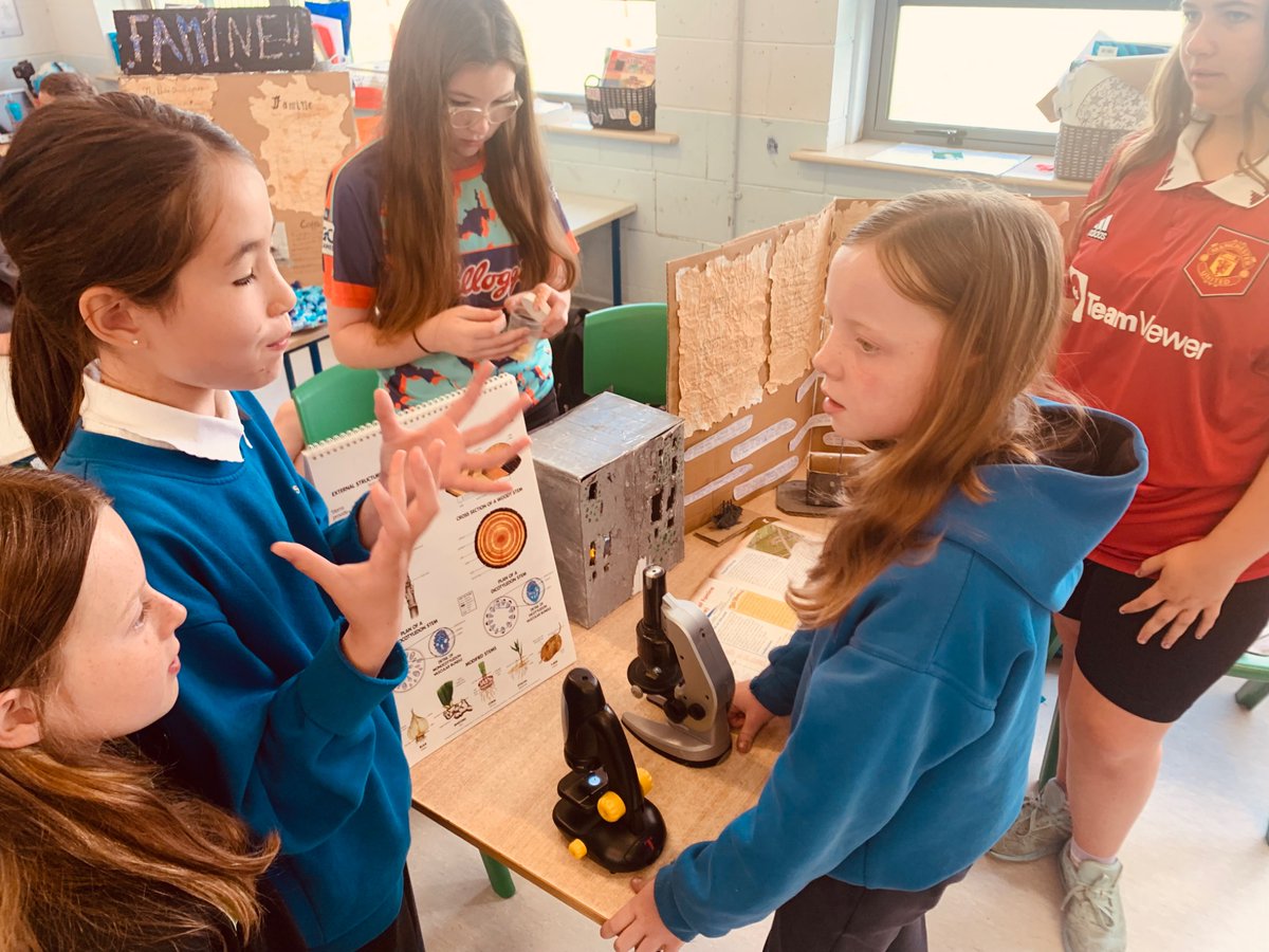 Scoil Bhríde Nurney tweet media