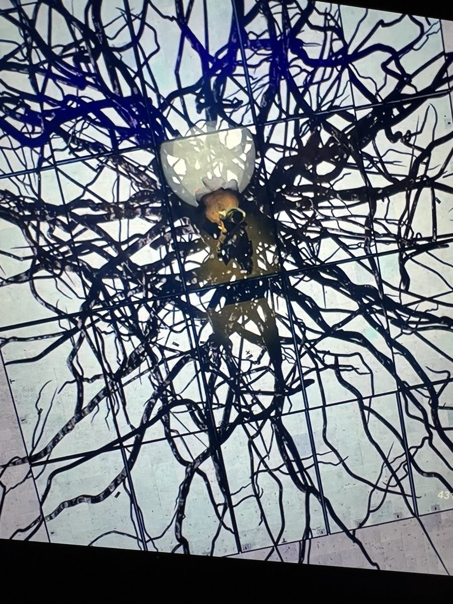 hokyoongi's tweet image. HES SITTING ON HIS ROOTS IM SICK