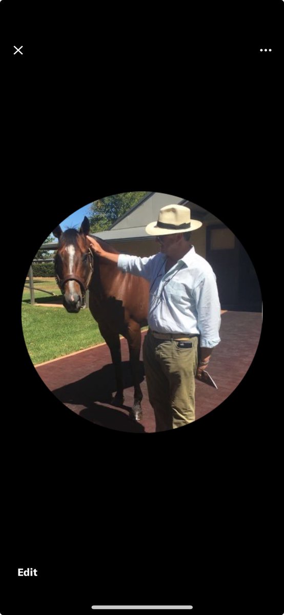 Johnny McKeever (@johnnymckeever1) on Twitter photo Just realised that my X profile picture (taken at least 8 years ago) sees me sharing a moment with one of my favourite ever Aussie legends -the late, great SNITZEL. What a star he was!
Condolences to all <a href="/ArrowfieldStud/">Arrowfield Stud</a> ❤️ Just realised that my X profile picture (taken at least 8 years ago) sees me sharing a moment with one of my favourite ever Aussie legends -the late, great SNITZEL. What a star he was!
Condolences to all <a href="/ArrowfieldStud/">Arrowfield Stud</a> ❤️