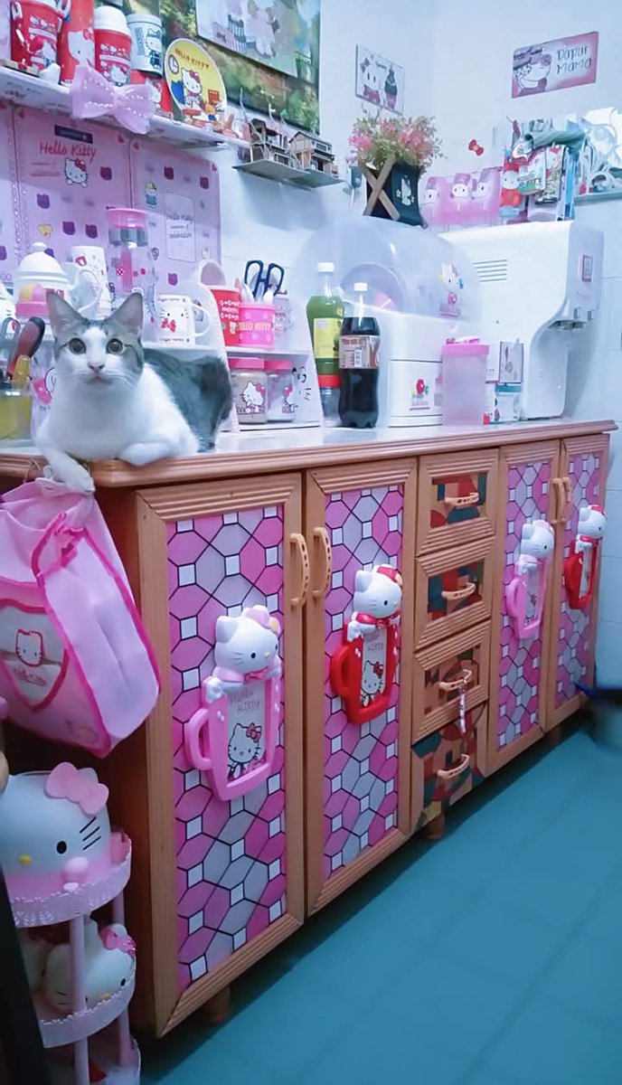 blush_yuyu's tweet image. 🍓My Hello Kitty Dry Kitchen 🍓
Selepas D.I.Y..kuntum suka dapur baru nenek 😻

#kuntumketum #diykitchen #HelloKitty #hellokittykitchen #drykitchen #kucing #pencintakucing #kucinglucu #videokucing #cat #catlover #catvideo #funnycat #neko #meow #meong #kedi