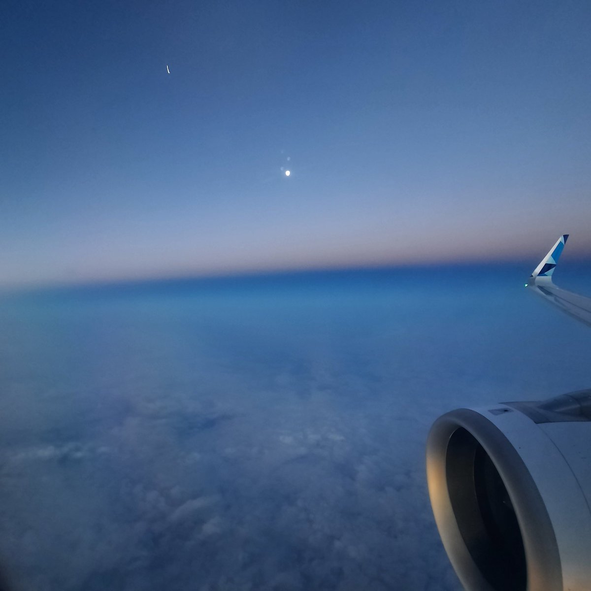 Shenanigans tweet media