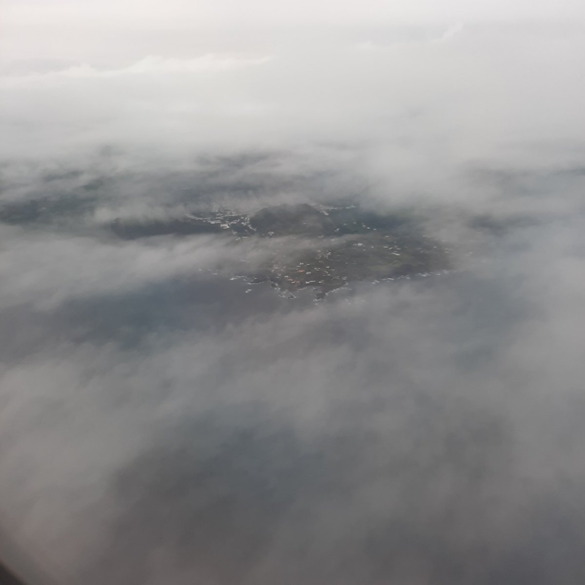 Shenanigans tweet media