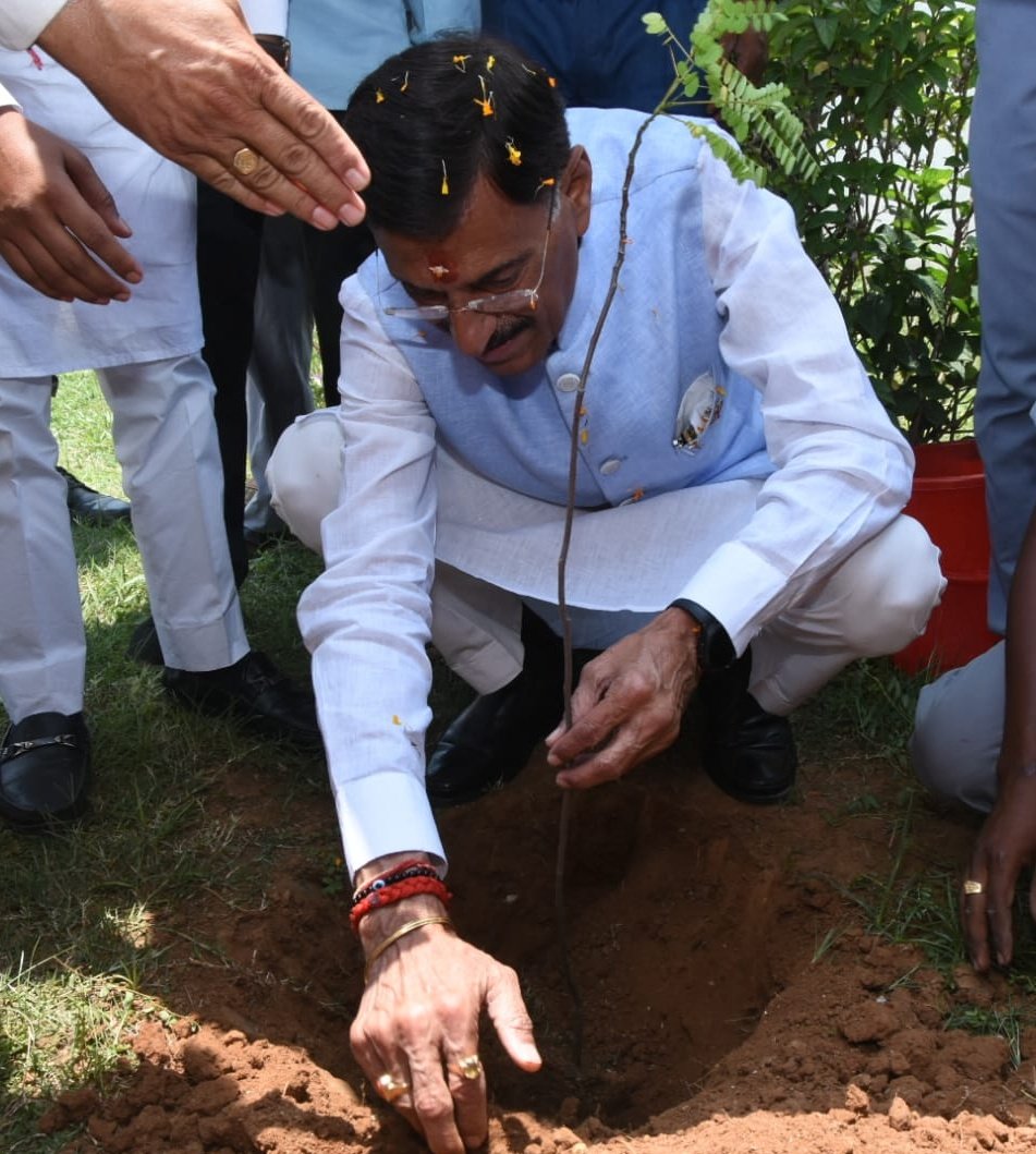 सिल्ली में स्थित DAV महात्मा आनंद स्वामी पब्लिक स्कूल के परिसर में वृक्षारोपण किया। इस अवसर पर विद्यालय परिवार से पर्यावरण संरक्षण हेतु बच्चों को भी जागरूक बनाने का आह्वान किया। हर बच्चा पौधा लगाए, उसकी देखभाल करे; यह प्रयास हमारा होना चाहिए।