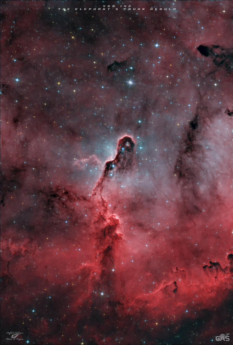 VdB 142, known as the Elephant Trunk Nebula.
Shot data:
Mount: Skywatcher 150/750 Heq5 pro
#Camera: 294MC PRO
Integration: 5h with 300’ exposures
Filter: #Optolong L-Para 2"
Acquisition: Asiair mini
Guiding #telescope: Take 60/240
Guiding camera: ZWO 224
Credit: Raffaele Calcagno