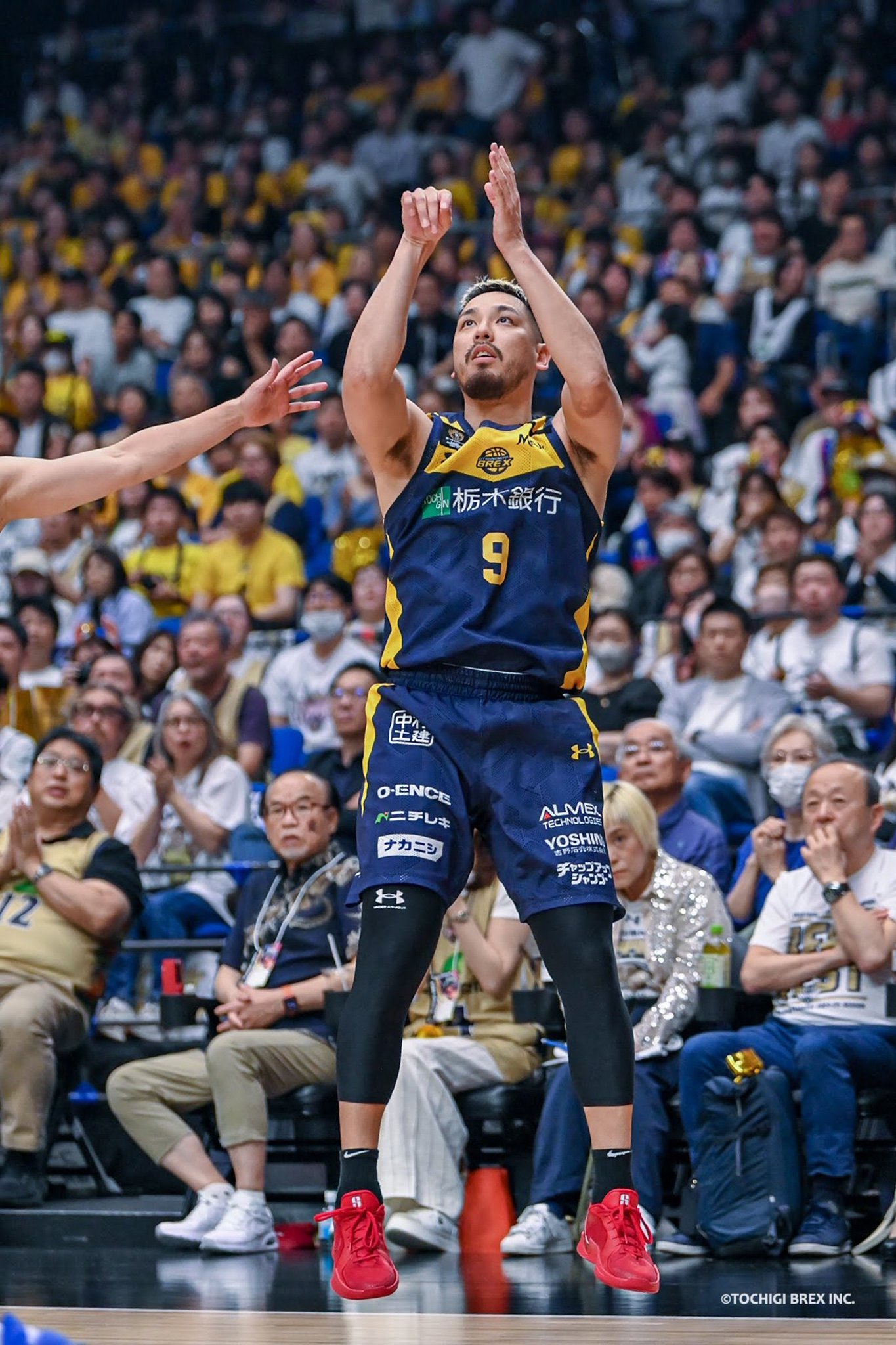 宇都宮ブレックス 田臥勇太 竹内公輔 ユニベア BREX×Hoops Peeps 宇都宮ブレックス / UTSUNOMIYA BREX on X: 