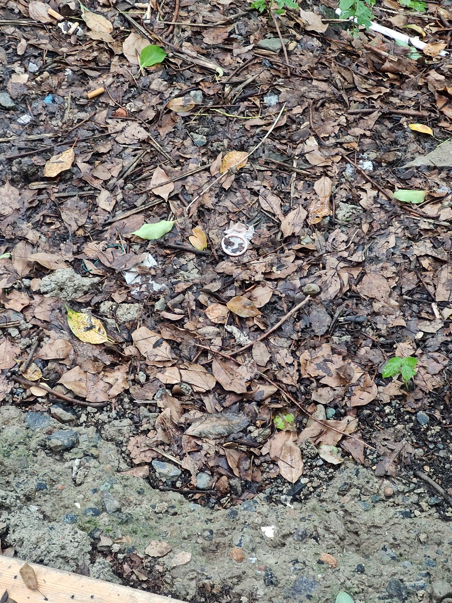 这个林中木亭子，让我很有想象感
但旁边地上为什么还有这个东西。。
（干完活，不得收拾收拾带走啊。。真是的。。。）