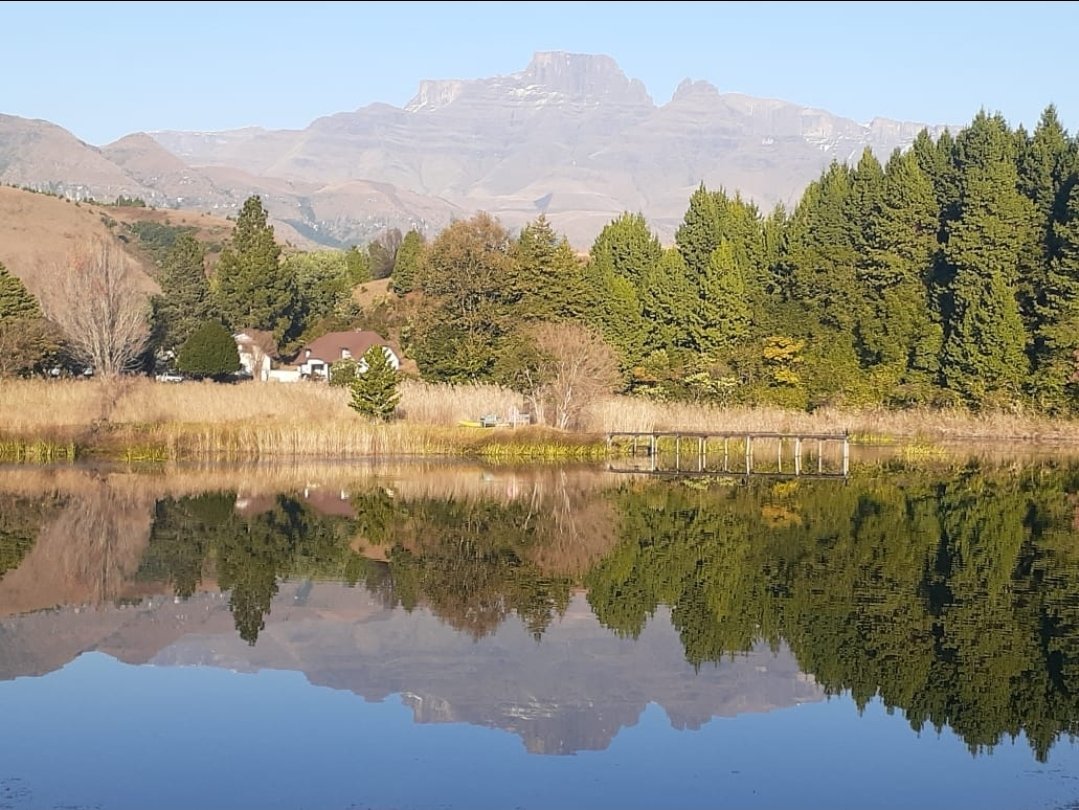 Andrew Fenwick 🇿🇦 tweet media