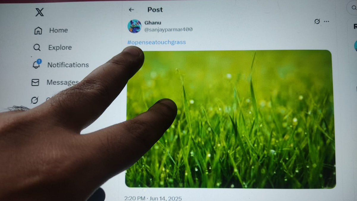 opensea task accomplished ( Post a photo of you touching grass on " X " with the hashtag #openseatouchgrass