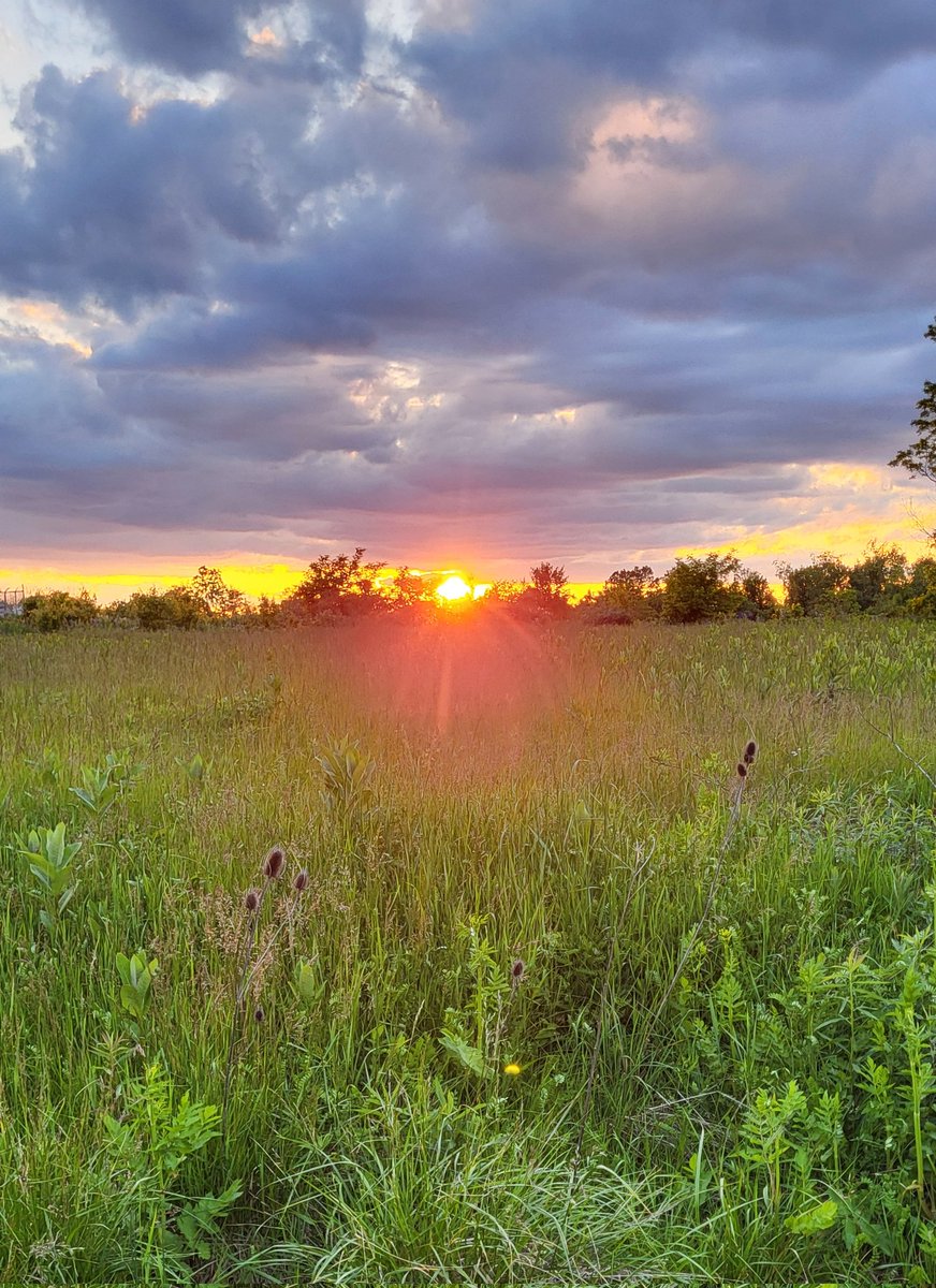 Good morning to all my friends. Today is a new beginning! ❤️ 😍 💖