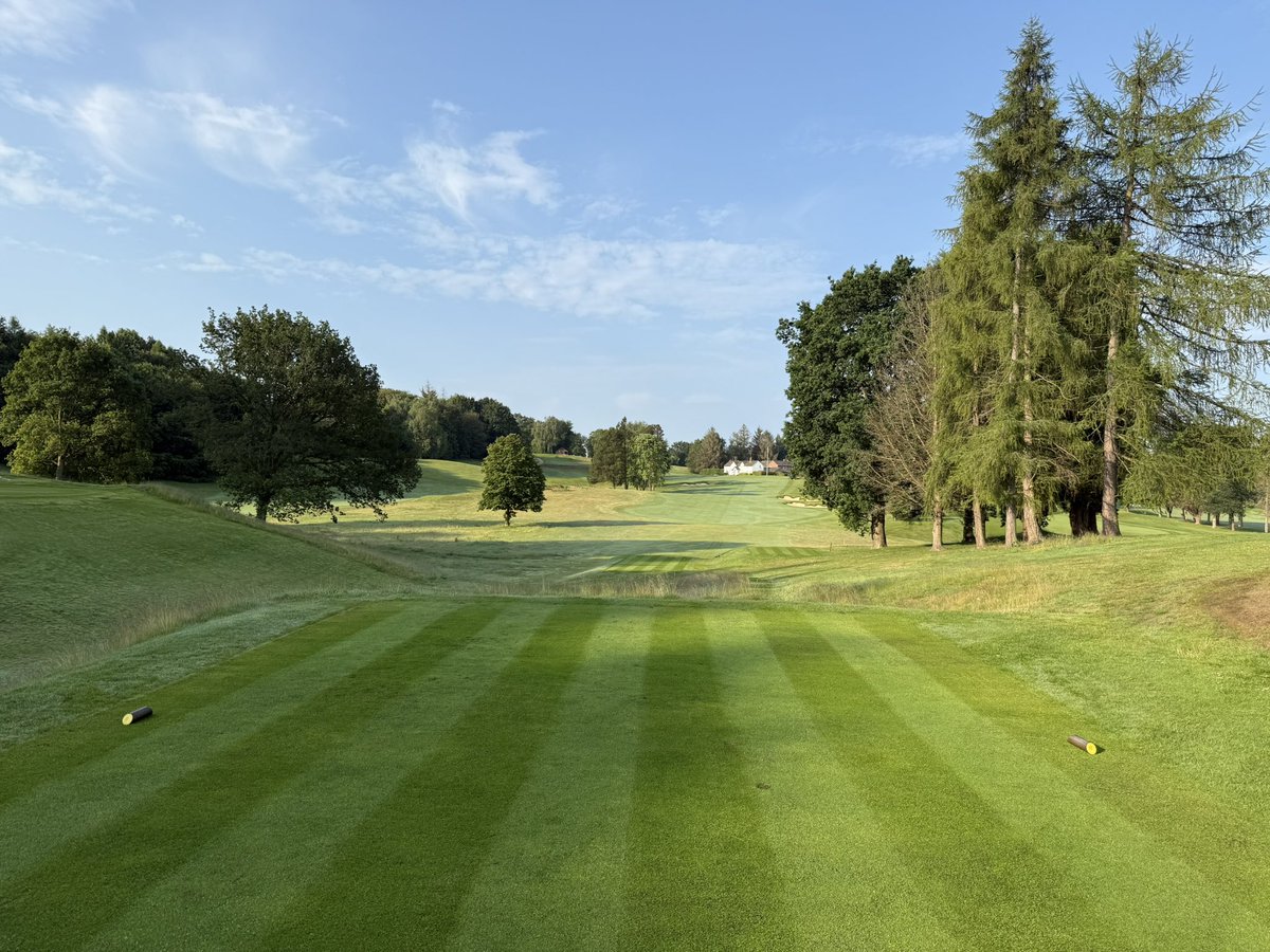 PrestburyGreens's tweet photo. The devil’s in the detail https://t.co/2gRV9Rtr2b