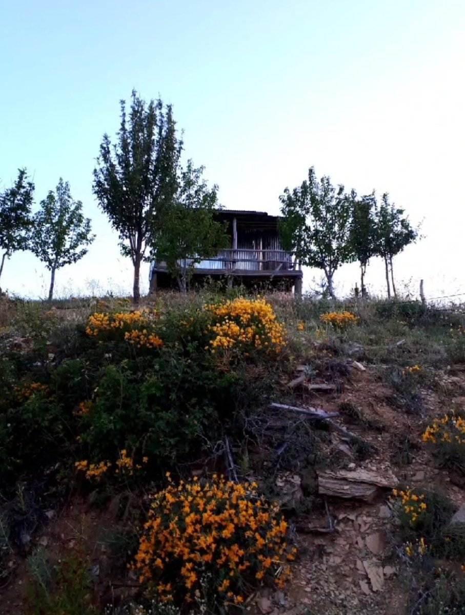 Kimse görmedi,bu dünyadan ben geçtim. 
İçimde umudun kırık kilitli sandıkları,elimde bir avuç düş ölüsü...

Şükrü Erbaş 

Kimse kendinden biryere gitmiyor.
Yaşıyoruz sessizce yaramızı severek.

Şükrü Erbaş 

Merhaba Kemaliye köylerinden bir görsel ile tüm dostlara iyi günler 🌻🌾