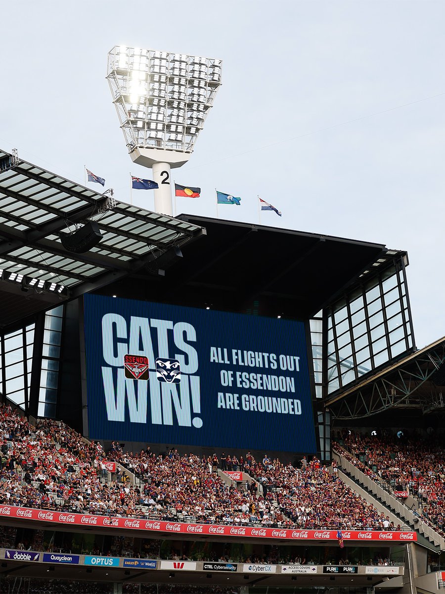 Geelong Cats tweet media