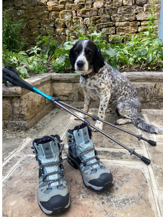 As part of Walk for ME Alison Herbert will be walking 177 miles along Offa's Dyke from 20th June to 5th July tinyurl.com/yxaj9ftt

Juno (picured) is particularly excited but not meant to be as too much for 4 paws.

Thanks Alison for your support, good luck, &amp; sorry Juno!