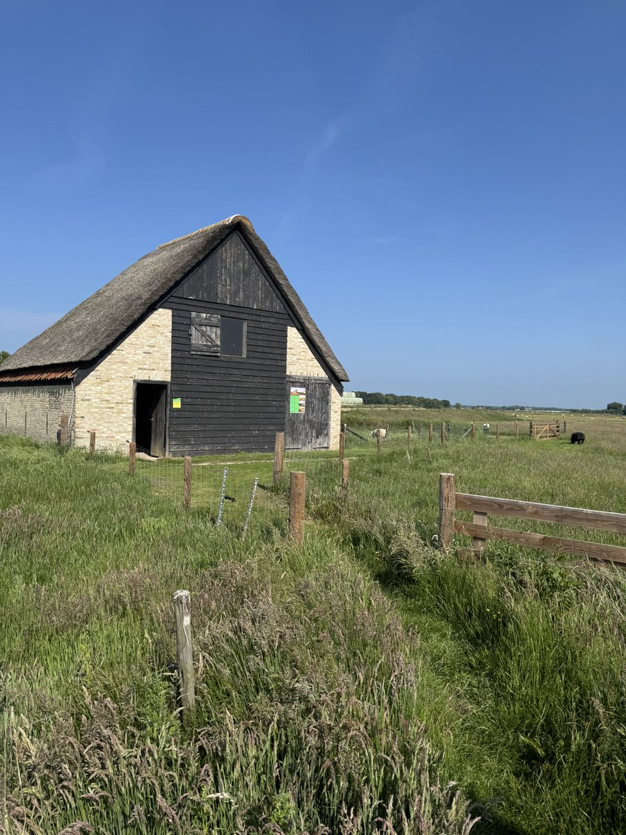 Nu al in de schaduw van de skéépeboet. <a href="/Schapenmuseum/">Schapenmuseum</a>