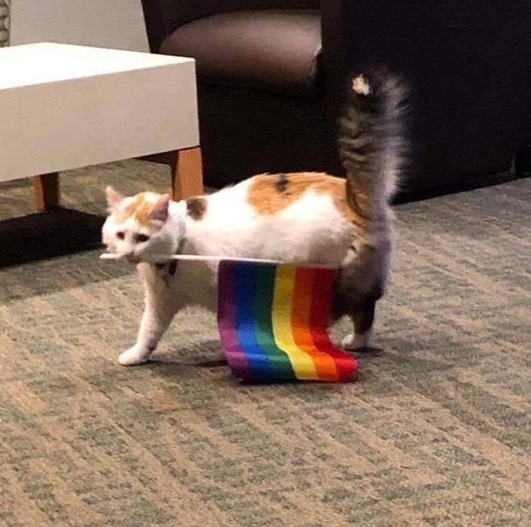 #Випад_ОК 

Розпочинаємо розіграш до Місяця Гордості!

Уподобайте цей пост, зробіть репост і приносьте роботу в коментарі
15 червня рандомайзер обере щонайменше 8 робіт. Переможці отримають огляди протягом наступного тижня.

Умови в коментарях🔽

Нехай щастить❤️