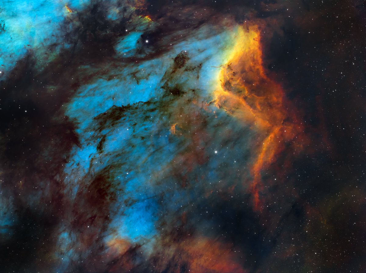 DerekFoster's tweet image. Pelican Nebula in SHO, taken earlier this year.