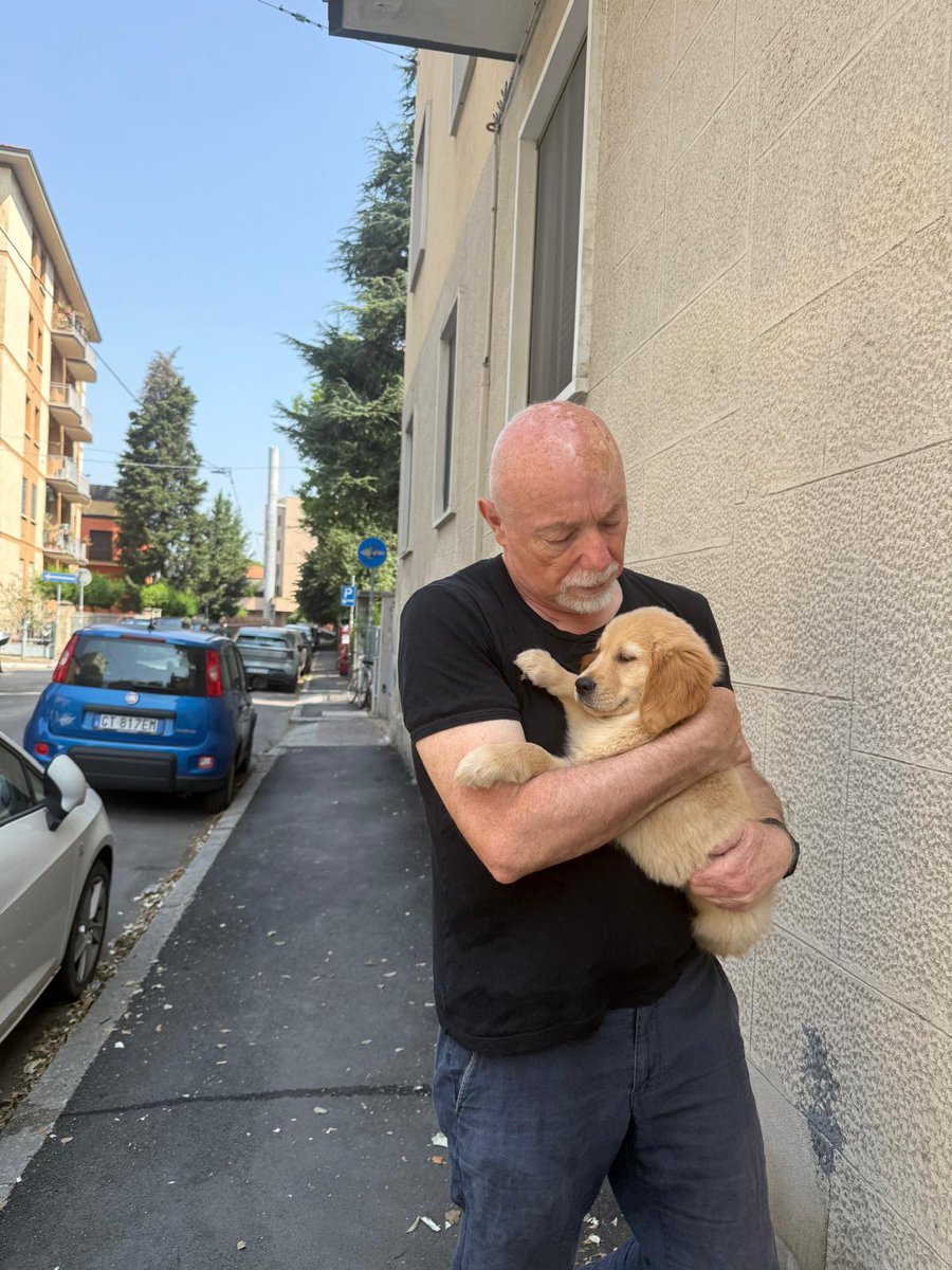 paolonori tweet media