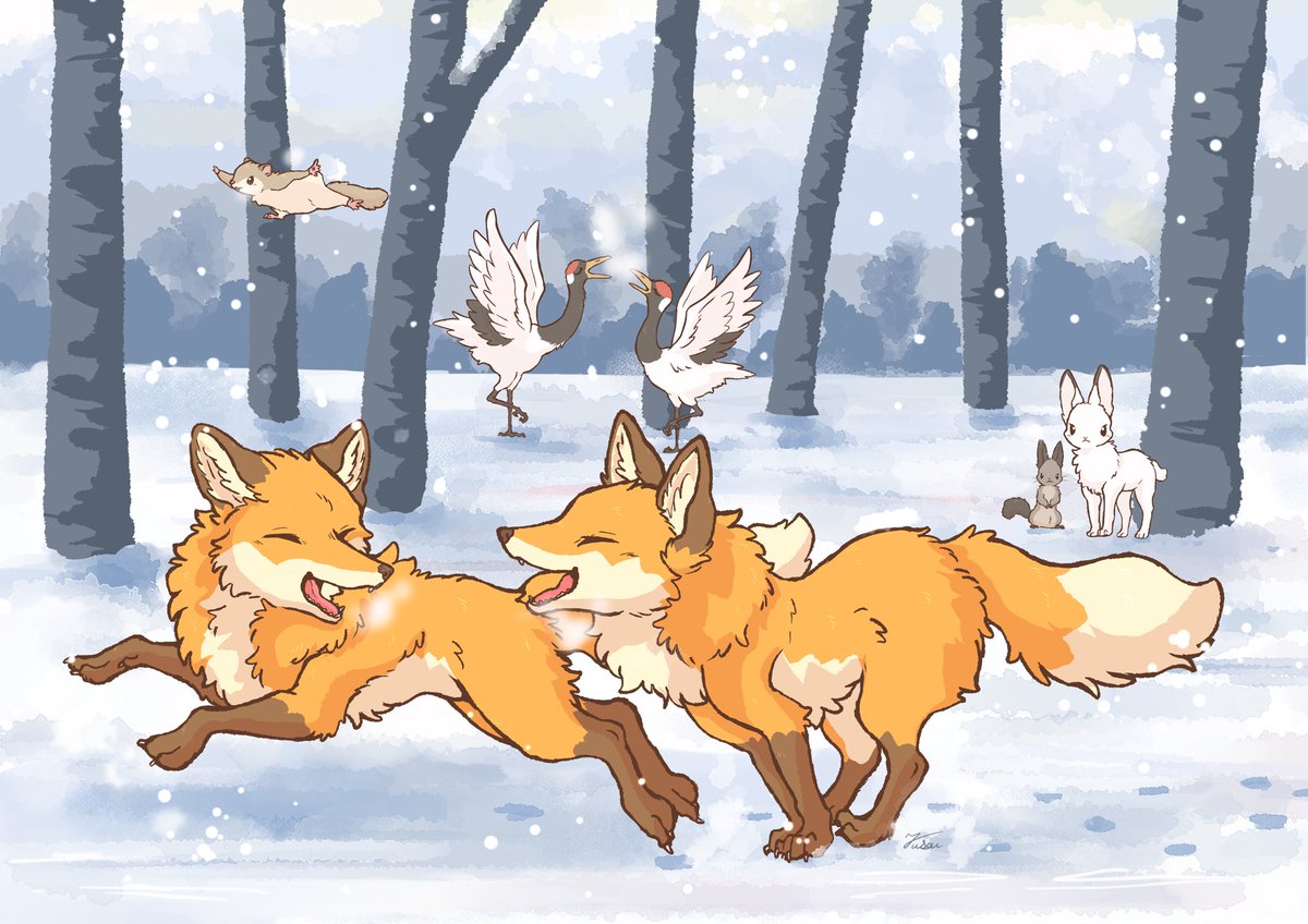 ふさう tweet media