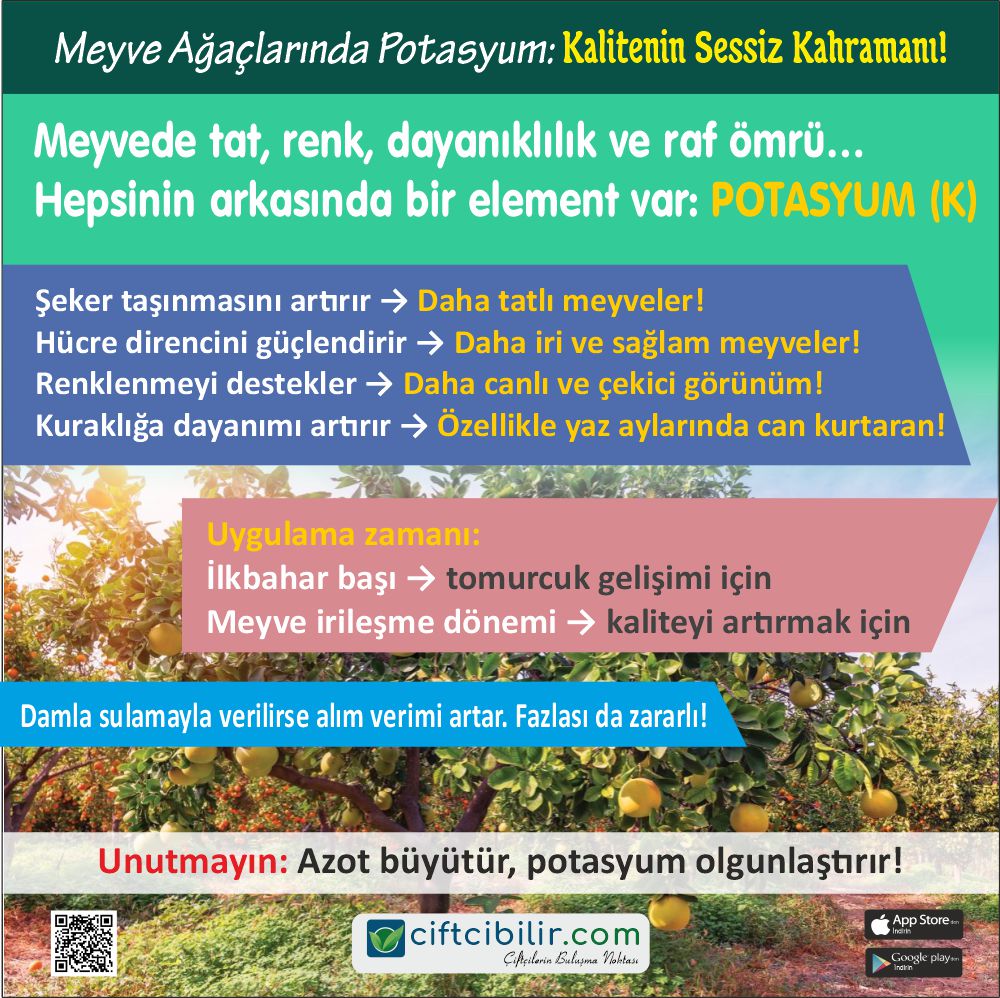 Daha fazla bilgiye sitemizin Tarım Kütüphanesi bölümünden ulaşabilirsiniz.
İlanlarınızı sitemizde ücretsiz yayınlayabilirsiniz...
ciftcibilir.com