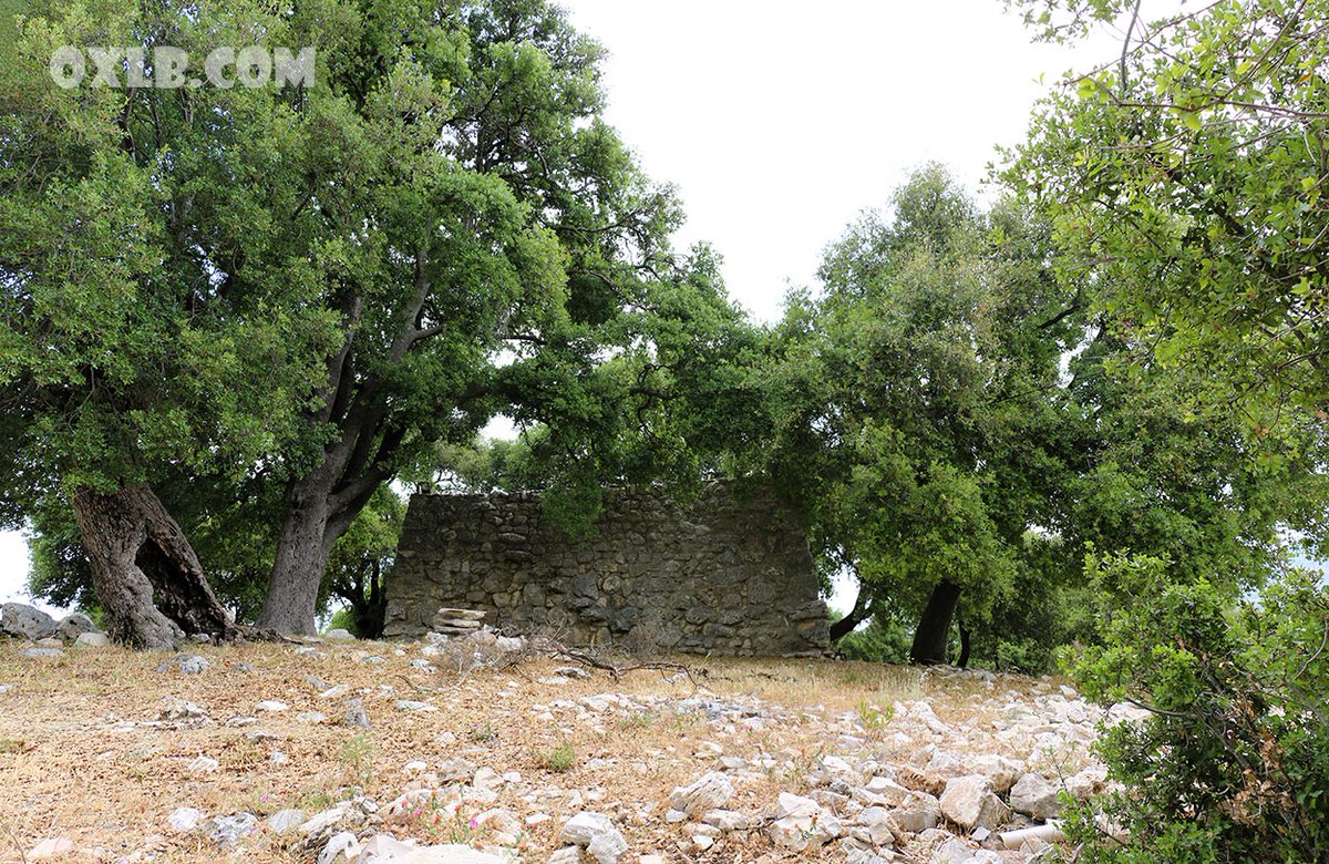 Forget War... Dream Lebanon... Discovering Habil the old Maronite Patriarchate youtu.be/bSQqKPrhCGM during the reign of Patriarch John Lehfed (1151-1154) and continued until the reign of Patriarch Jeremiah al-Amshiti (1209-1230).
#tolerance #lebanon #forgetwar #nowar #peace