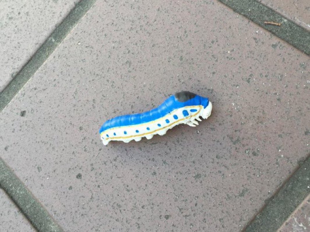 あ、新幹線のオモチャだ！」と思って近寄ったらイモムシだった