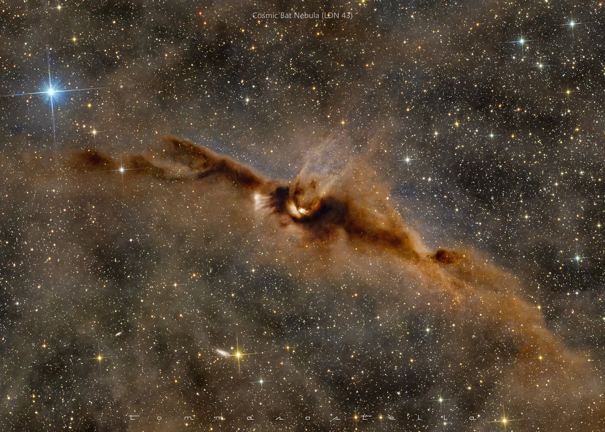 LDN 43, also known as the "Bat Nebula"
Technical data
Site:Stigliano (MT)-Italy, SQM 21.2
Lights: 180x300s (#Optolong L-CCD)
Setup: Skywatcher PDS 200f5, Skywatcher AZEQ6 GT, ZWO ASI 2600 DUO
Credit: Tommaso Massimo Stella
Hope you like it.
#uvircut #lightpollution #filter