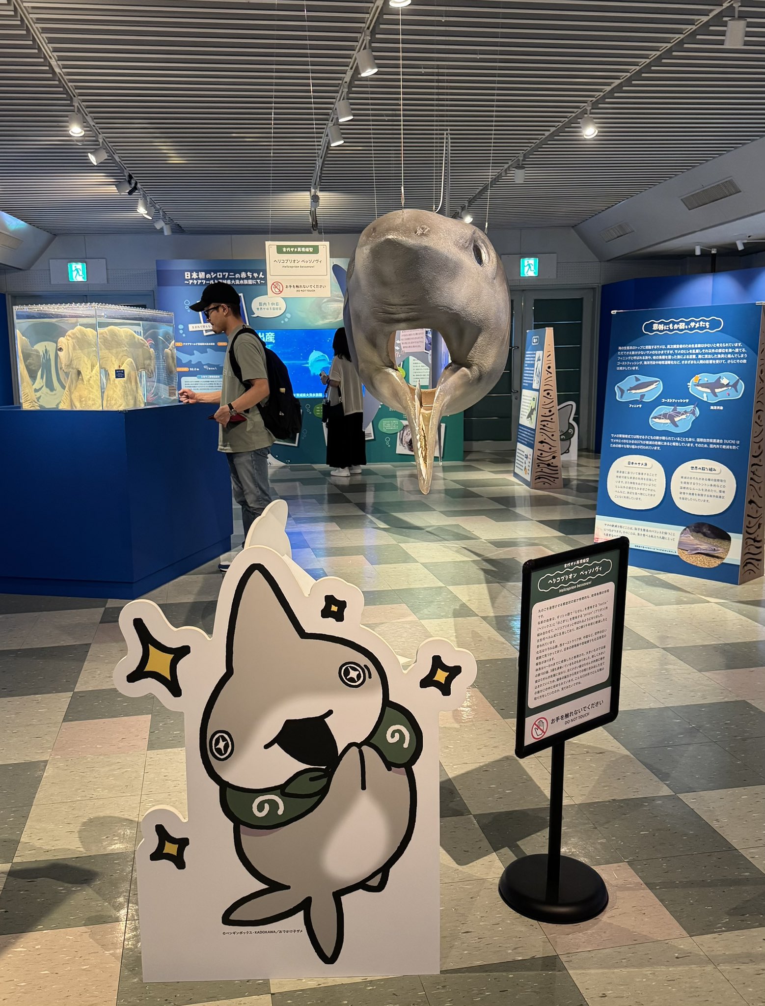 いべまり🦈郷土料理研究家 on X: 