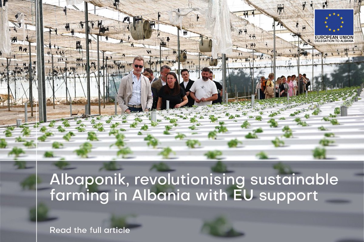 🌱 In Baldushk, just outside Tirana, over 3,000 m² of pesticide-free crops are flourishing thanks to a sustainable, high-tech hydroponic system. At Albaponik, vegetables are grown without soil, with 90% less water use, and zero chemical waste, all supported by the EU through the