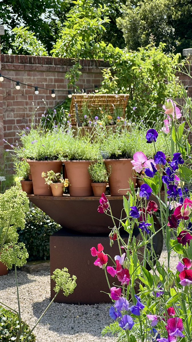 Its a gorgeous sunny Saturday morning 🌞 in the Kitchen garden <a href="/chewtonglen/">Chewton Glen</a> The vibrant colours are really popping in the early morning sunshine.
#sunshine #summer #garden #colour #lavender #sweetpeas #growyourown #chewtonglen