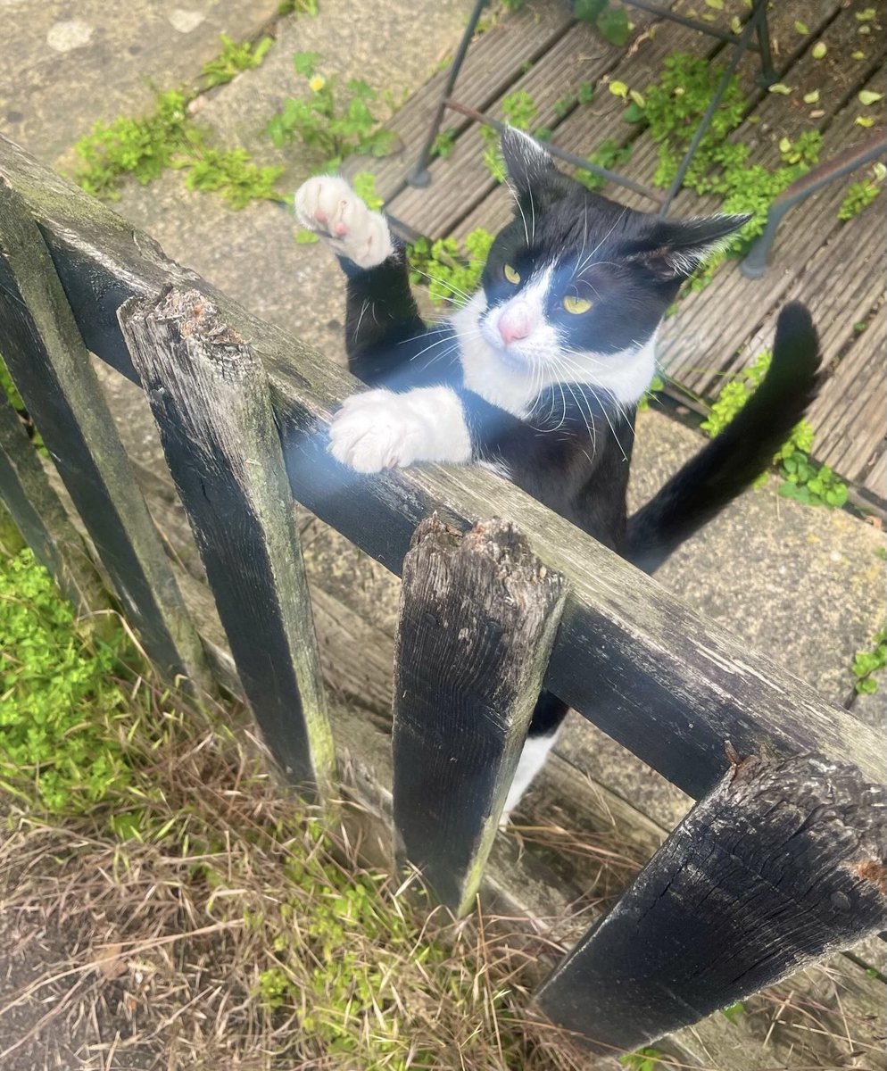 Jane Fallon tweet media