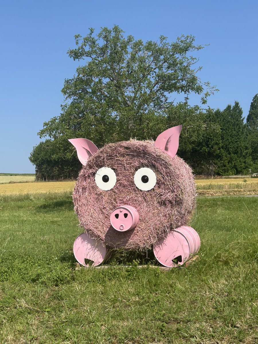 BONNIN1402's tweet image. Après une matinée dégâts de sangliers 🐗, je proposerai bien de revisiter la Saint Cochon.
Ça coûterait moins aux @ChasseurFrance 

#Locavore 🐖 🐗