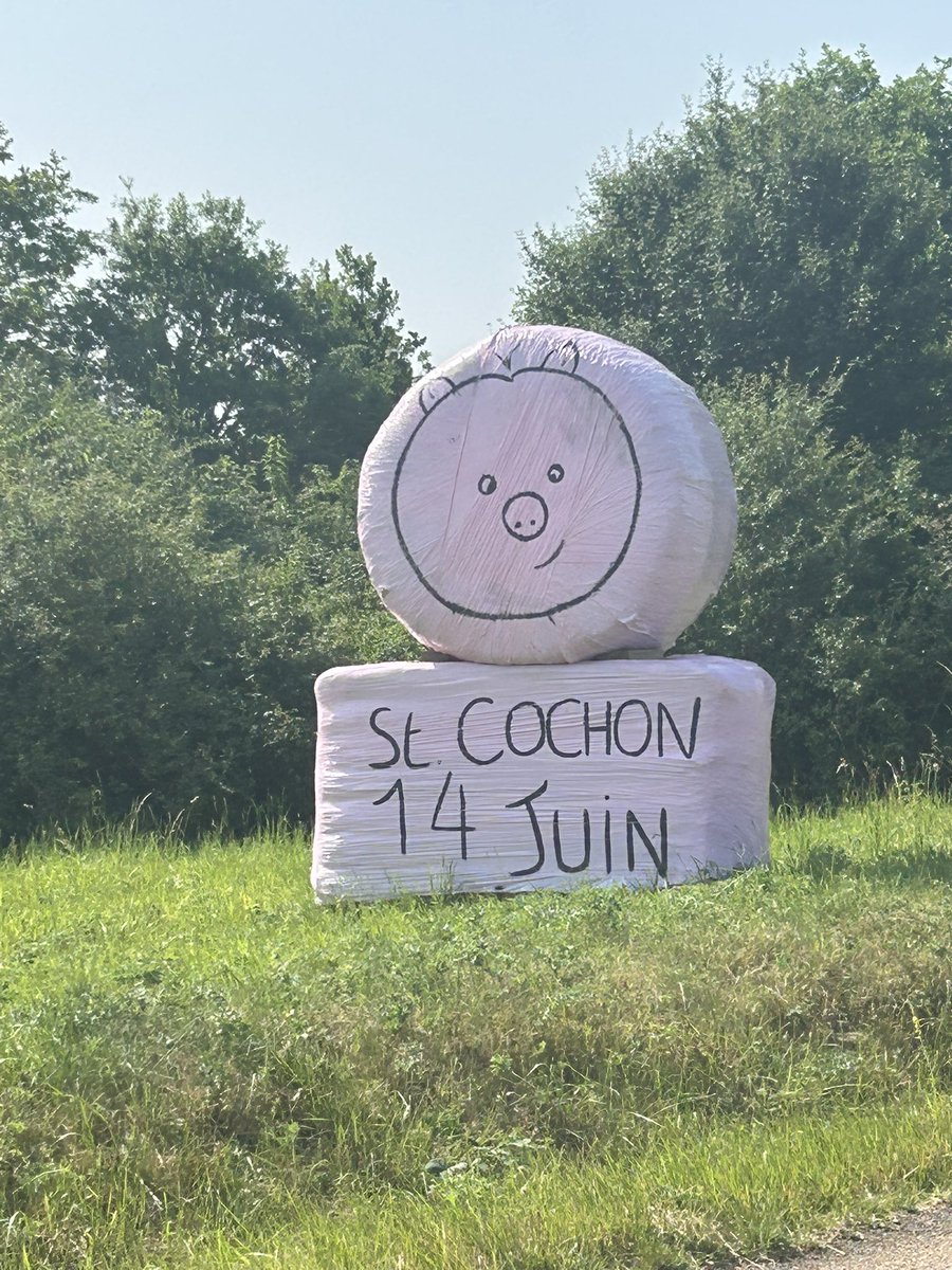 BONNIN1402's tweet image. Après une matinée dégâts de sangliers 🐗, je proposerai bien de revisiter la Saint Cochon.
Ça coûterait moins aux @ChasseurFrance 

#Locavore 🐖 🐗