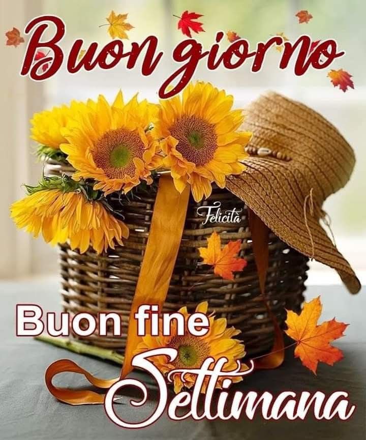 <a href="/RobertaDalPra/">Roberta Dal Pra</a> Buongiorno Roberta, buon sabato cara amica e ormai buon pranzo tra un'po 🥰☀️❤️🌻🌺